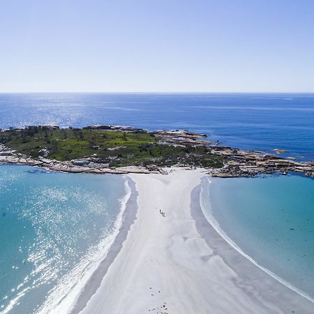 Diamond Island Resort, Restaurant & Bar And Penguin Show Bicheno Exteriér fotografie